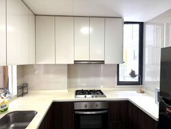 La Fiesta (D19), Condominium #484516251